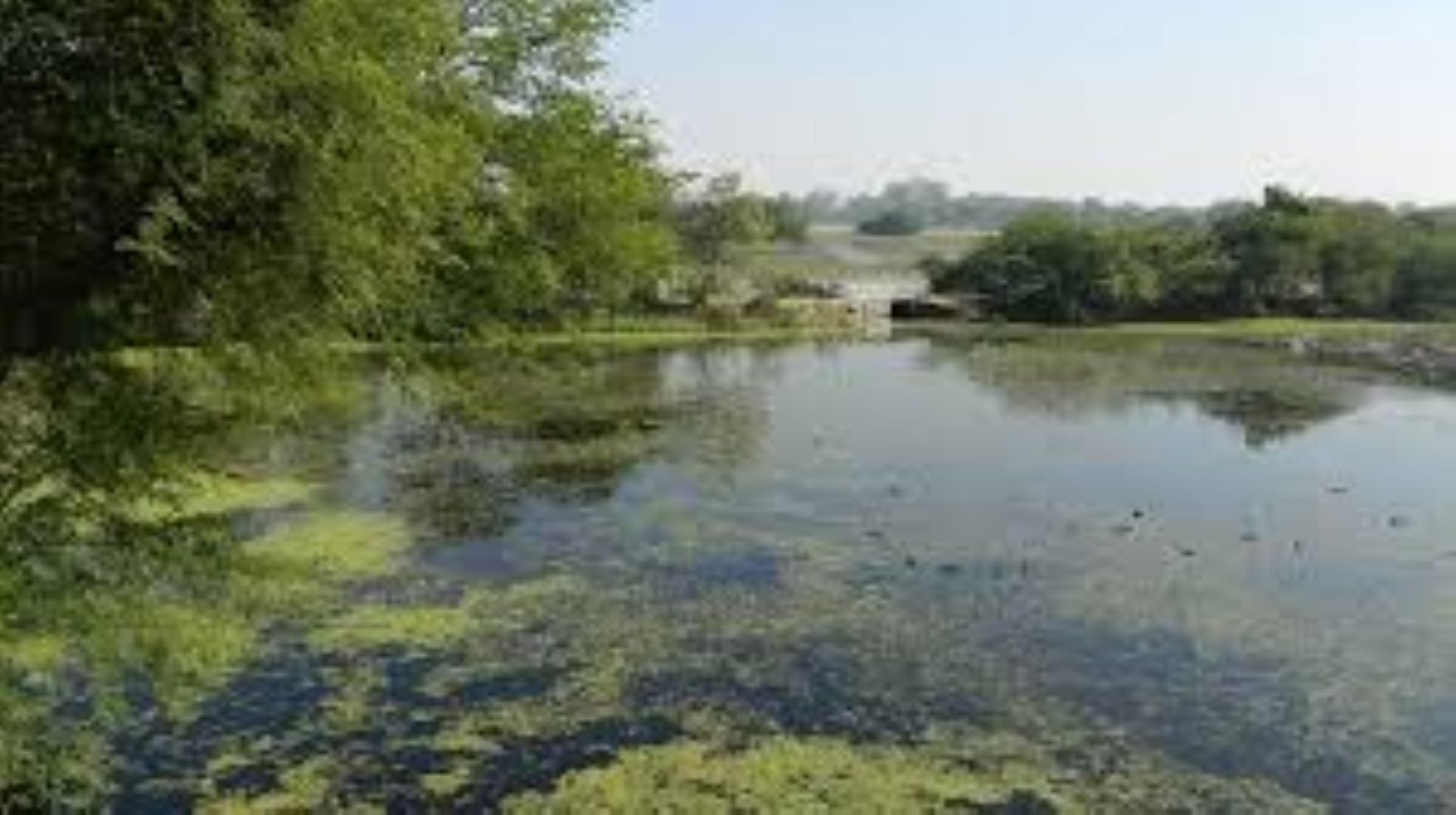 Parvati-Arga Bird Sanctuary in Uttar Pradesh declared an eco-sensitive zone